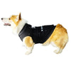 HOODIE VAN DOGH™ BLACK - VAN DOGH